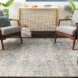 neutral toned area rug in a living room