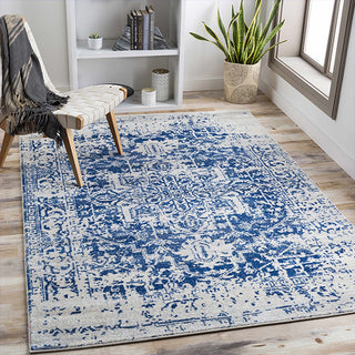 Blue and white patterned rug in a room with a chair, books, and a plant.
