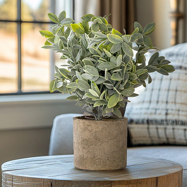 faux sage plant in pot Lifelike Sage Bush in Recycled Pot