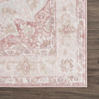 Blush & Light Pink Area Rug