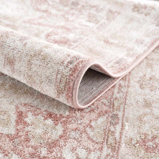 Blush & Light Pink Area Rug