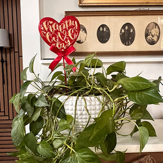 Happy Love Day heart plant stake indoor decor