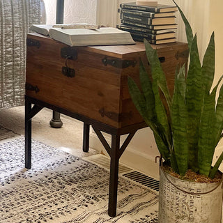 Storage Trunk End Table
