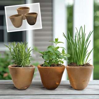 Rustic Kitchen Herb Planters, Pick Your Style