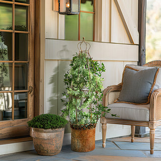 Rustic Topiary Garden Topiary Metal Planter - Decor Steals
