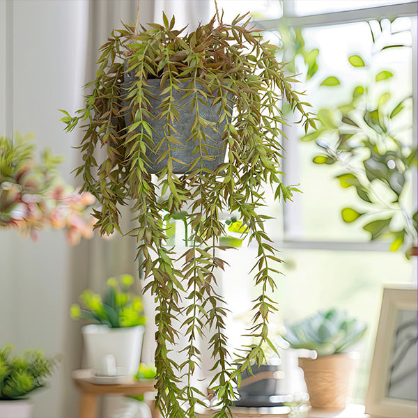 faux plant in concrete pot Weeping Faux Plant