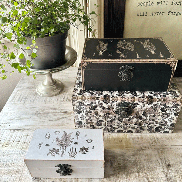 Wood-box-set-600x600-1.gif?