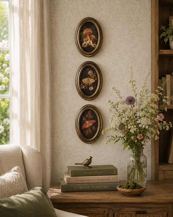 Botanical Moth & Mushroom Framed Wall Art, Set of 3