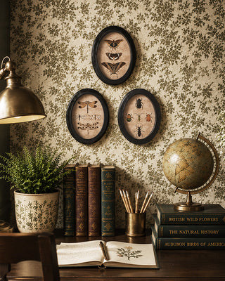 Insect Study Hanging Wall Decor Black Framed Natural History Set of 3