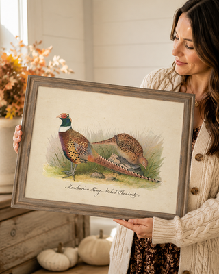 Timeworn Manchurian Pheasant Naturalist Wall Art