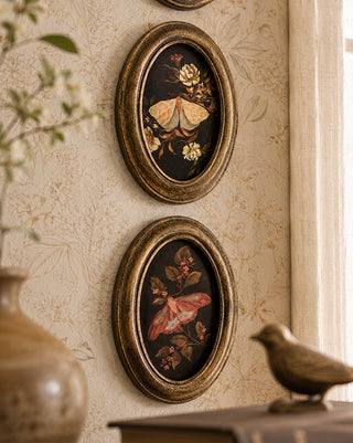 Botanical Moth & Mushroom Framed Wall Art, Set of 3