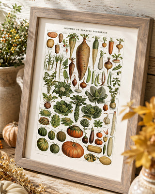 Vintage Barnwood-Framed Botanical Veggie Print