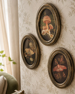 Botanical Moth & Mushroom Framed Wall Art, Set of 3