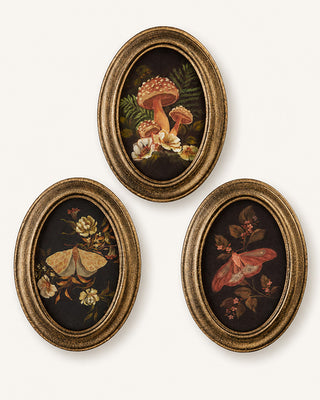 Botanical Moth & Mushroom Framed Wall Art, Set of 3