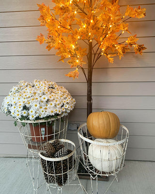 Chippy Cottage Wire Storage Baskets, Set of 3