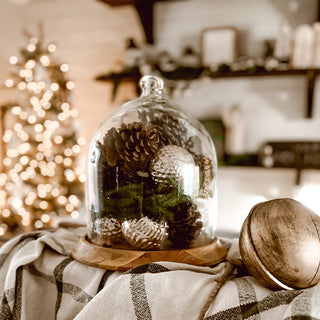 Decorative glass dome with pinecones on a wooden stand in a cozy indoor setting.