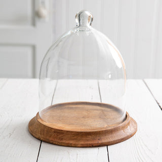 Clear glass cloche with natural wood base