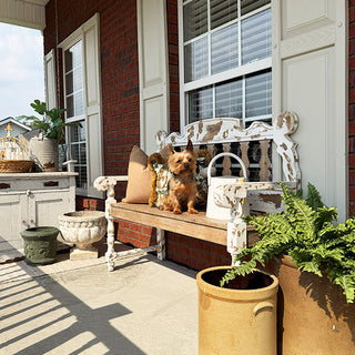 Dog sitting on a wooden bench with decorative mirror on a porch