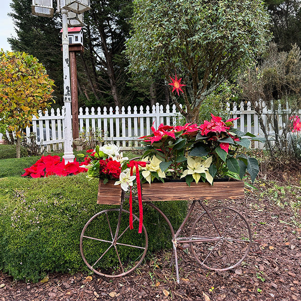 indoor bicycle planter Bicycle Planter