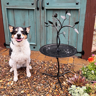 Outdoor bird bath fountain patio garden decor