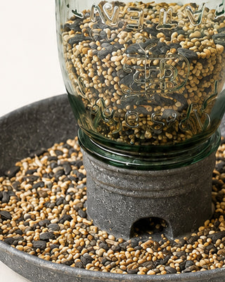Mason Jar Bird Feeder Rustic Vintage Outdoor Garden Decor