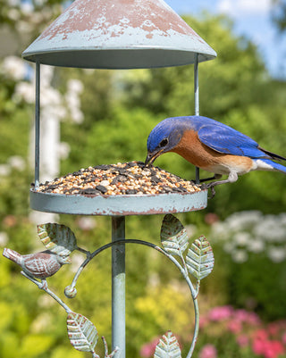 Outdoor Blue Metal Bird Feeder Stake