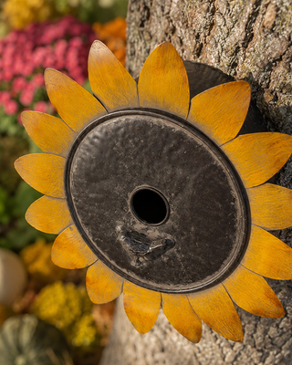 Metal Sunflower Wall Birdhouse with Clean-Out