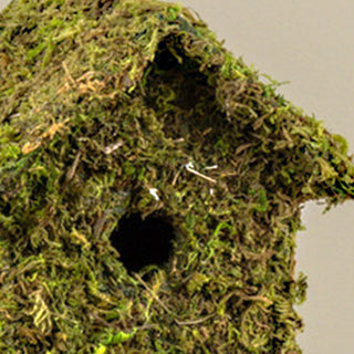 Moss-Covered Wood Birdhouse