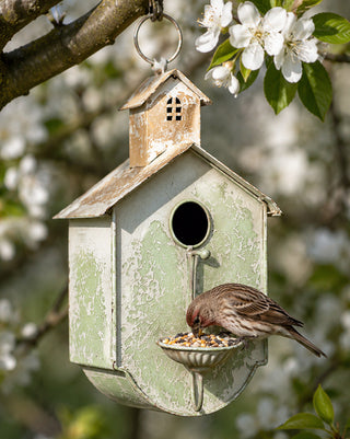 Green Vintage Outdoor Functioning Metal Birdhouse