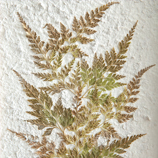 Distressed wood frame pressed fern botanical art