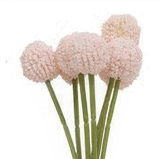 Billy Ball Bouquet - Pink or White Craspedia Stems