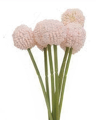 Billy Ball Bouquet - Pink or White Craspedia Stems