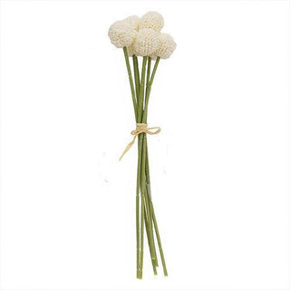 Billy Ball Bouquet - Pink or White Craspedia Stems