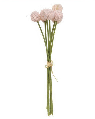 Billy Ball Bouquet - Pink or White Craspedia Stems