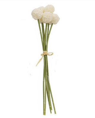 Billy Ball Bouquet - Pink or White Craspedia Stems