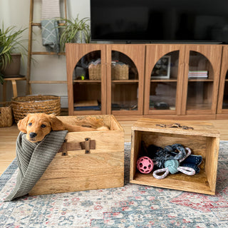 Wooden storage crates with dog and toys home decor