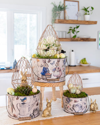 Botanical Illustrated Metal Bucket Planters, Set of 3