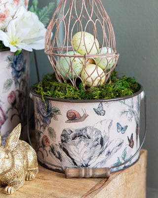 Botanical Illustrated Metal Bucket Planters, Set of 3