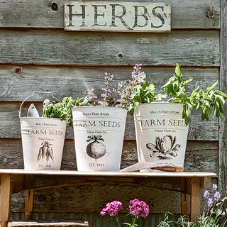 Three white Farm Seeds buckets styled beneath an ‘Herbs’ sign