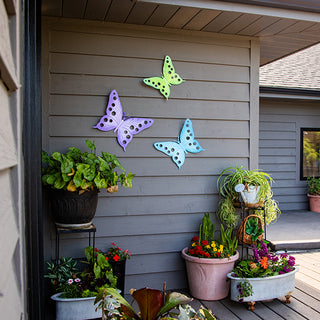Colorful Butterfly Wall Art | Clip & Switch Series