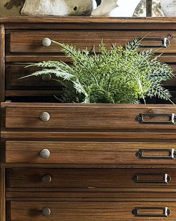 Collector's Cabinet with Card Drawers