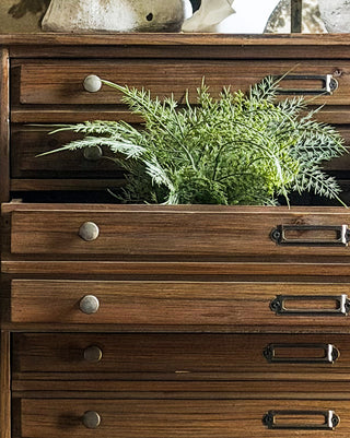 Collector's Cabinet with Card Drawers