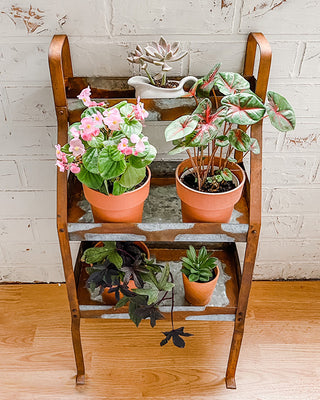 Rusted Finish Three-Tier Potting Shelves
