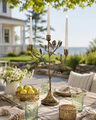 Antique Brass Fruit Tree Taper Candelabra 20 Inch