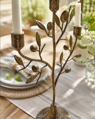 Antique Brass Fruit Tree Taper Candelabra 20 Inch