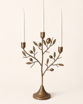 Antique Brass Fruit Tree Taper Candelabra 20 Inch