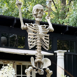 skeleton decoration