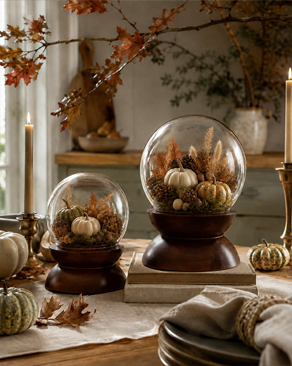 Glass Cloche Display Domes with Rich Wood Pedestal Bases, Set of 2