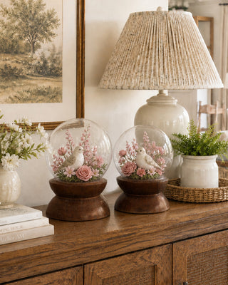 Glass Cloche Display Domes with Rich Wood Pedestal Bases, Set of 2