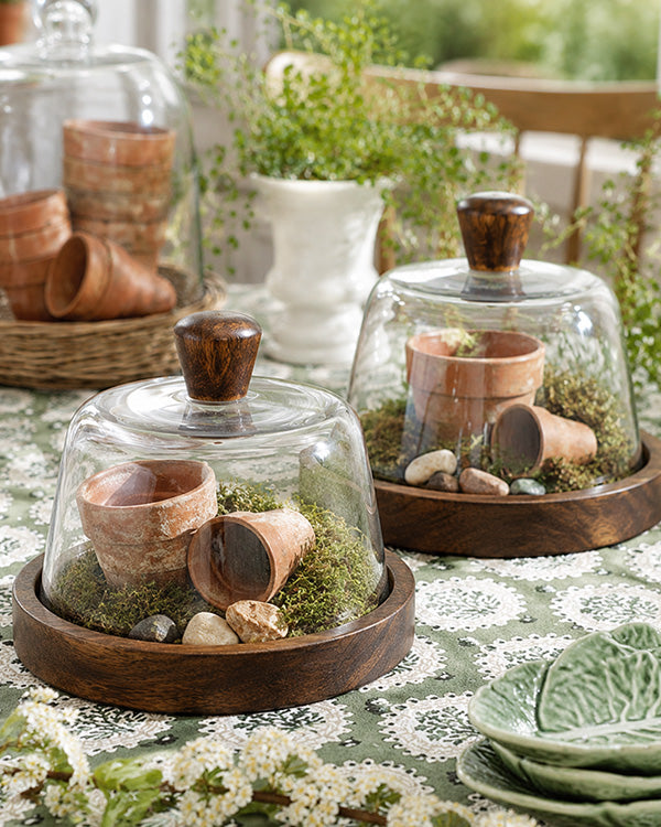 Wood & Glass Cloche with Wooden Base, Choose Your Style